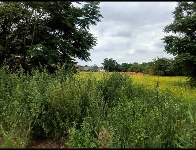1,044M² VACANT LAND FOR SALE IN KOOKRUS